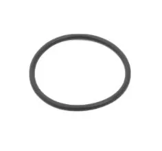 Gioăng chắn bụi 32/925906