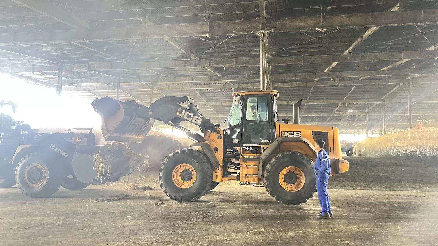 Bộ đôi máy xúc lật JCB 426 & 436 – Minh chứng độ bền tại trang trại bò sữa lớn tại Việt Nam
