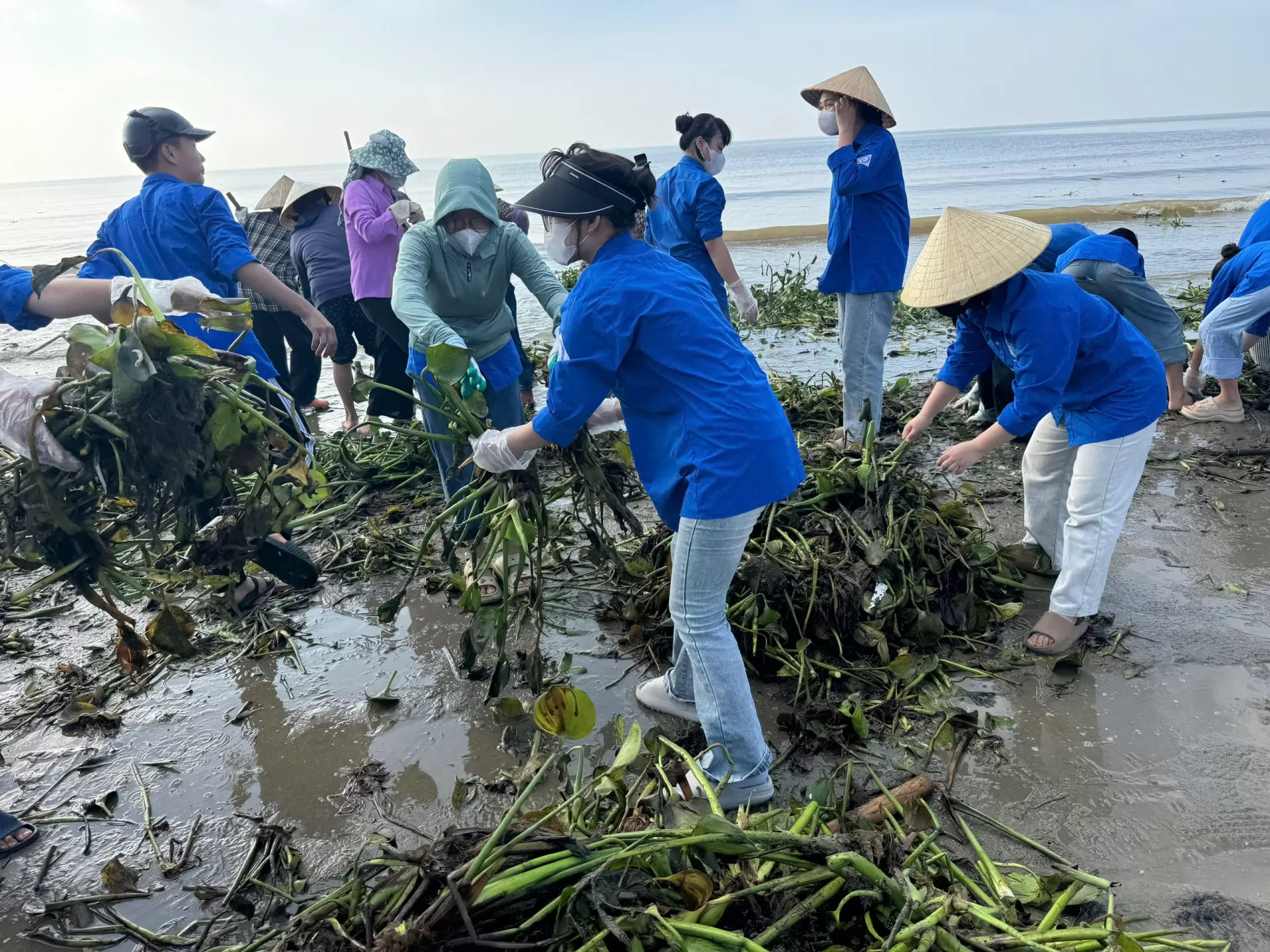 Xe xúc liên hợp JCB – Giải pháp dọn vệ sinh bãi biển, lục bình và rác thải hiệu quả